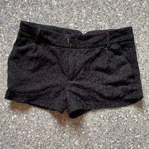 Black lace short short